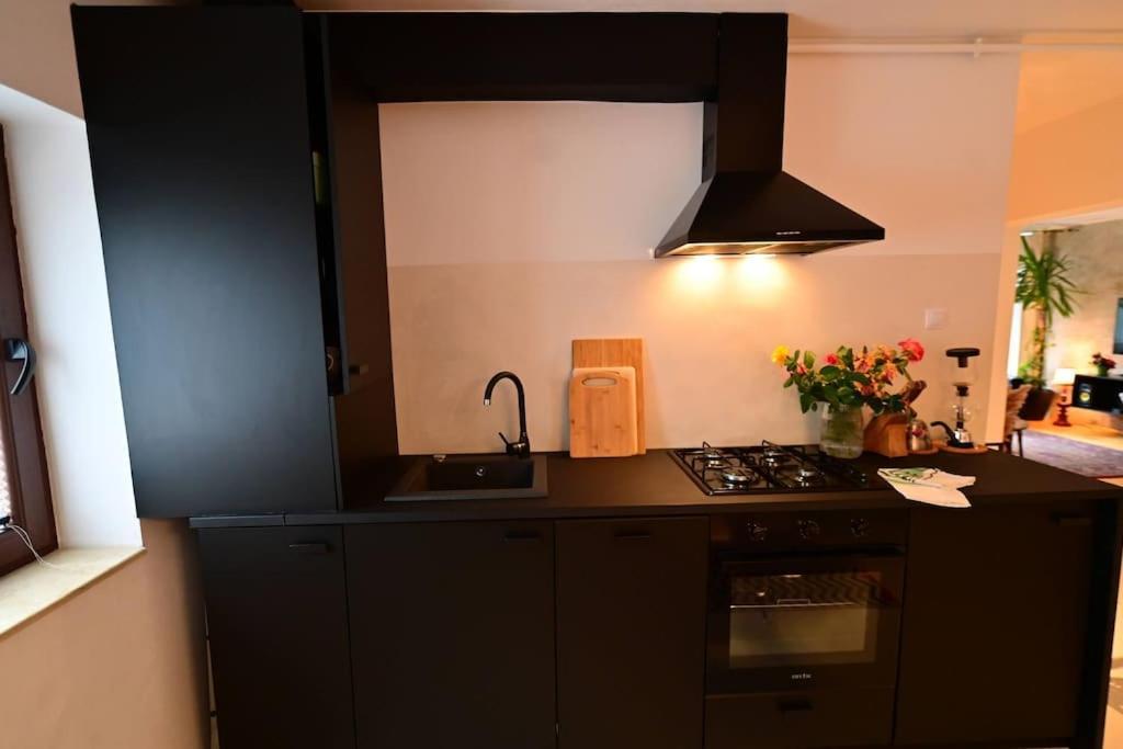 Flh - Apartment Grm Princess سيبيو المظهر الخارجي الصورة